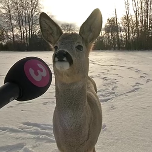 90s time portal 🫟