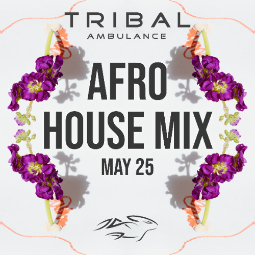 Afro House Mix [May 2025]