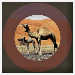 Camel Emba