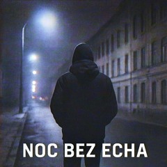 Noc bez echa