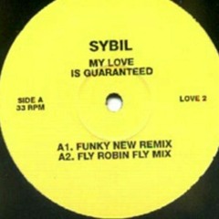 Sybil - My love is guaranteed (Fly Robin Fly mix)
