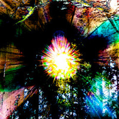 .abduction