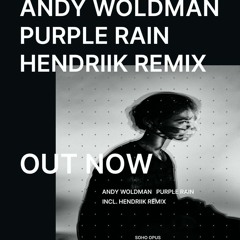 Andy Woldman - Purple Rain (Hendriik Remix)