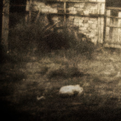 ...The Dawn of a Burning Kingdom (Retrospect Pt.1)
