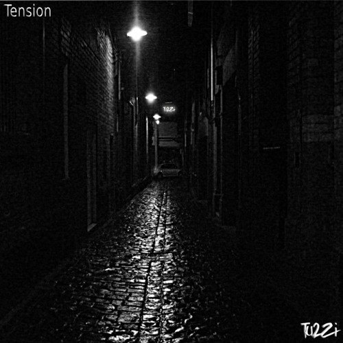 Tu2Zi - Tension