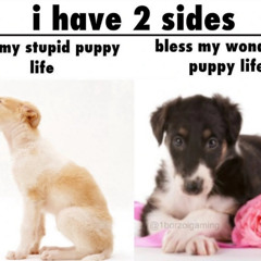＾＾