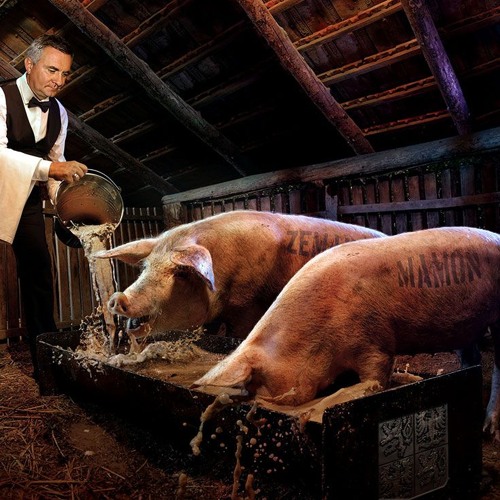 281099-026 hwdp politykom