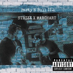 Strizz x Marchart - Party N Bull. 2