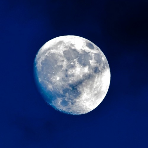 Moonbeam's Ambient (naviarhaiku385)