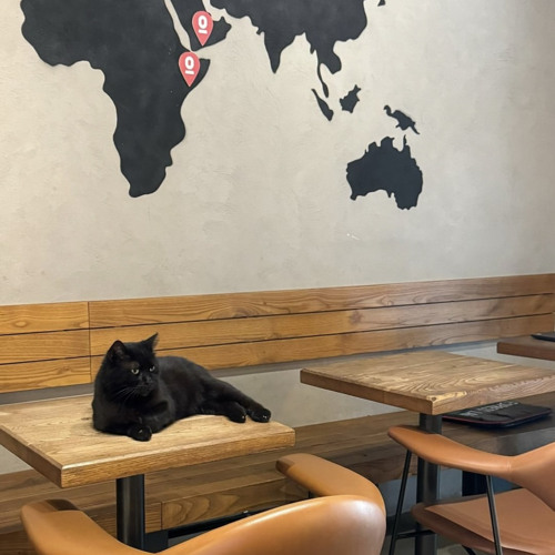 Sirvan khosravi Khaterate To Black Box (خاطرات تو) (live)