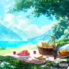 Mr Salad - picnic