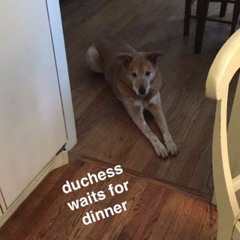 Lakes Of Canada - 30 Sept 2014