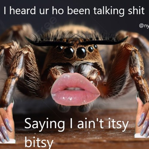 Nymble Digitz Live at the Catnip Afterhours, NYE 2025