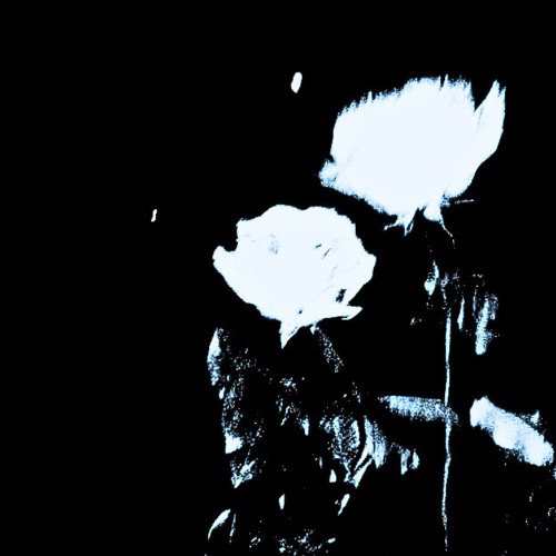 veceit x vistuh - earbleed