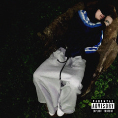 Повод (prod. upmadeit, hexotag, wsb)