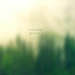 Forest Bath