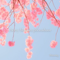 cherry blossom photoshoot (free dl)