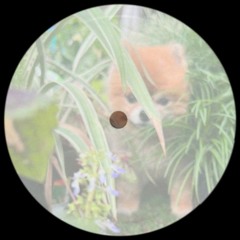 PREMIERE: Togethrs - The Heaven