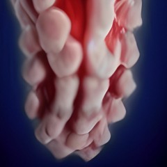 Had Enough (feat. Equinox)