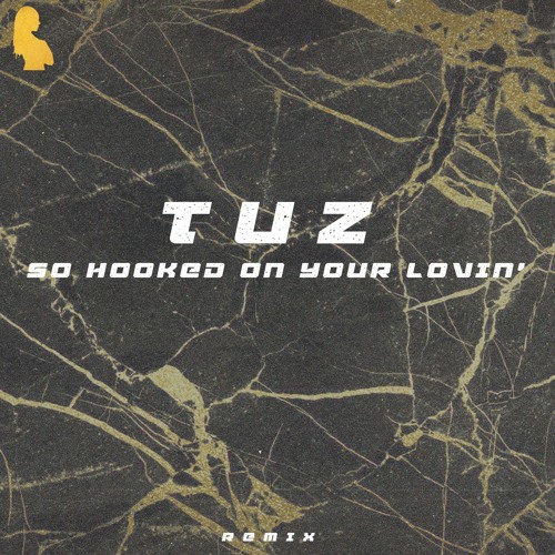 So Hooked On Your Lovin' (Tuz Remix)
