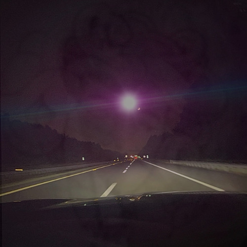 petrified! w/ brecken & kiddamo (p. nevrfall)