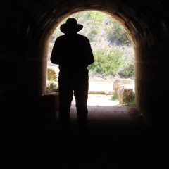 Vertically Aligned Nano Tube Arrays