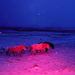 HEYZ Vs Thai Jesus - Pursuit of Happiness Remix X Gucci Mane Bricks Flip