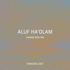 Aluf Ha'olam - Hanan Ben Ari (shnooks edit)