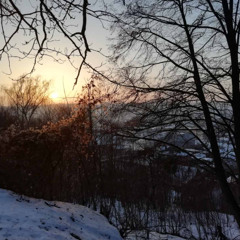 Winter Fluff from the Palms of Heaven