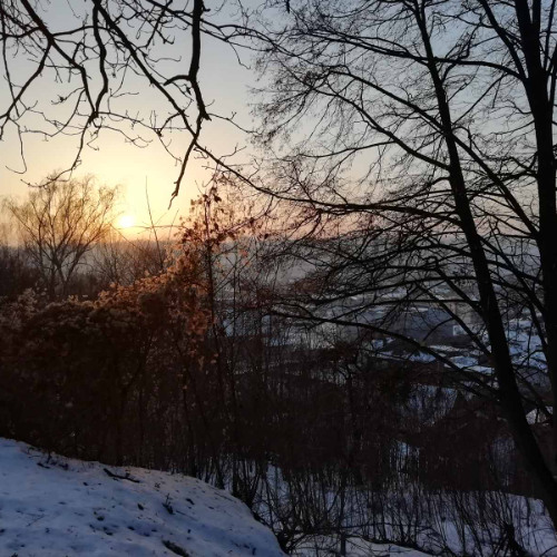 Winter Fluff from the Palms of Heaven
