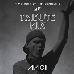 Avicii Tribute Mashup Mix - DJ Nick
