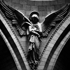 brittle skin - Poionix