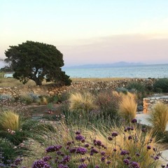 Mediterraneo