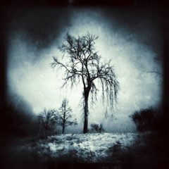 ;;⧺carveharder [newdesires] 。,