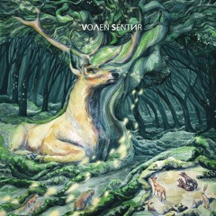 Volen Sentir - The Book of Wisdom (Mixed)