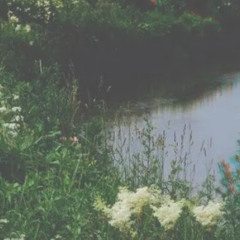 the valentines gift I should have never got