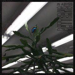 PREMIERE: In Abyss - Zinc Coated [self-release]