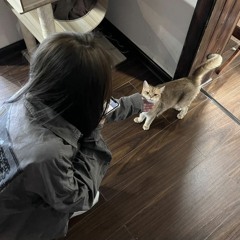 We got it - XO-IQ [sped up]