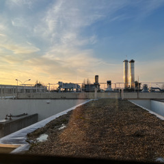 RP_2025_02_11