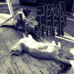 Chapter 1: Death by Your Creation