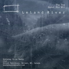 Guest Mix 012: Leland River