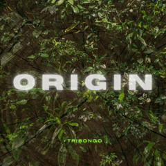Origin