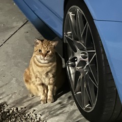 Indie/ALT Type Shit Vibes