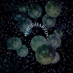 PopRockZ (ProdHarto)
