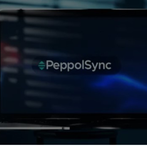 Inventory Management Solutions Malaysia | PeppolSync – Cloud ERP & Peppol e-Invoicing Automation