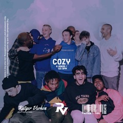 COZY | Brockhampton Type Beat