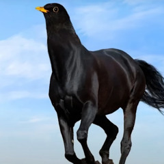 A Not So Joyful Lobotomy