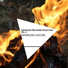 NATURE SOUNDS