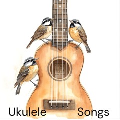 Rainy Day Bird Song (Live)