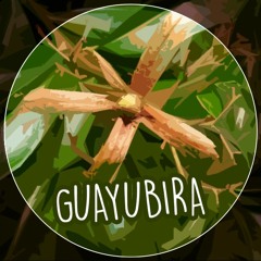 Guayubira (preview)